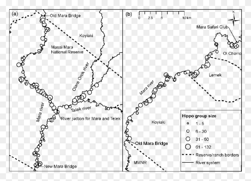 850x596 Spatial Distribution Of Hippopotamus Hippopotamus Amphibius Map, Gray, World Of Warcraft HD PNG Download