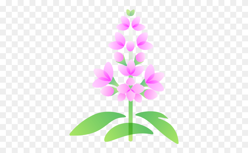 371x458 Spearmint Gilliflower, Plant, Flower, Blossom Descargar Hd Png