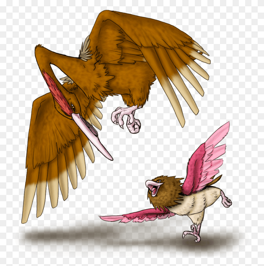 967x975 Spearow Concept Giant Bomb Kite, Bird, Animal, Eagle HD PNG Download