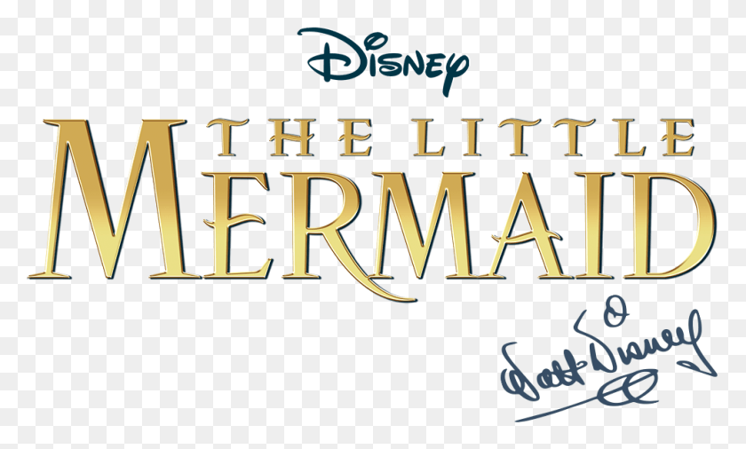 988x565 Special Offers And More Disney, Text, Word, Alphabet HD PNG Download
