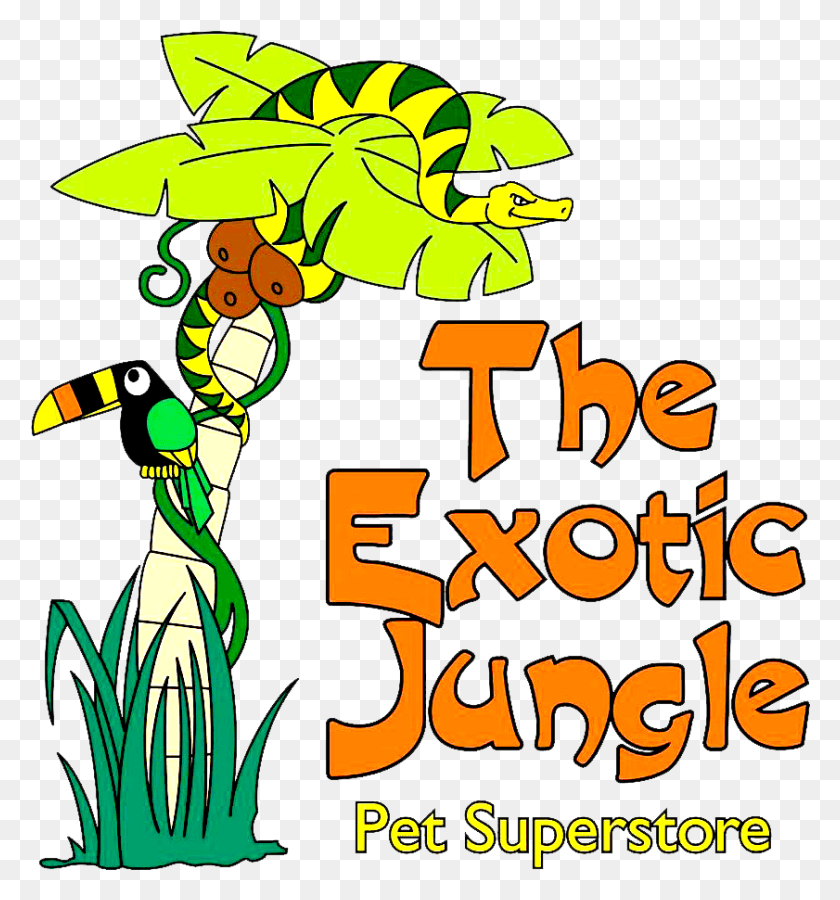 841x906 Special Thanks To Our Great Sponsor Jungle Book, Plant, Graphics HD PNG Download