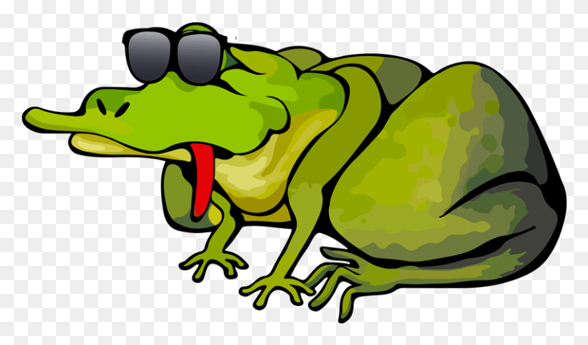 810x450 Los Anfibios Png / Toad39S Fun Zone Hd Png