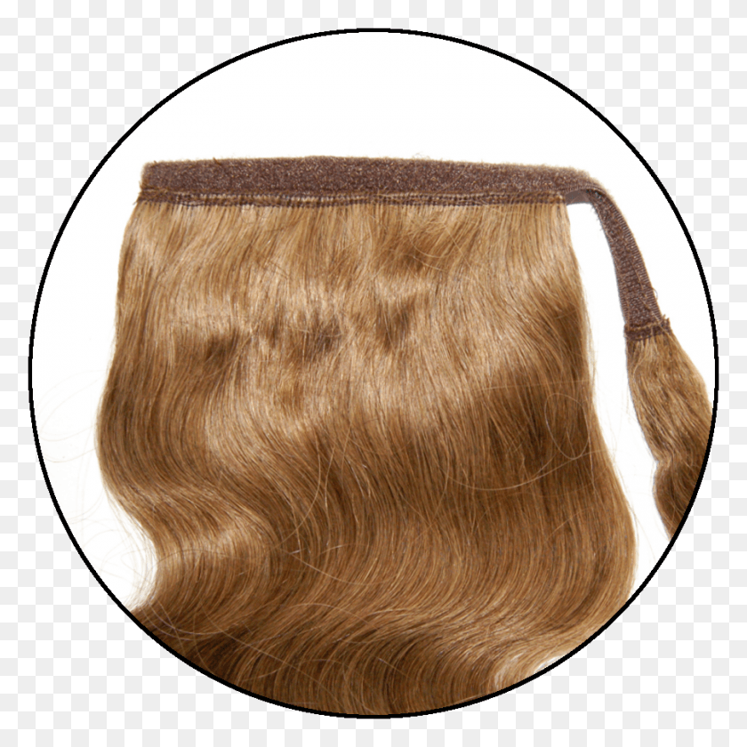 Specifications, Hair, Bag, Accessories HD PNG Download