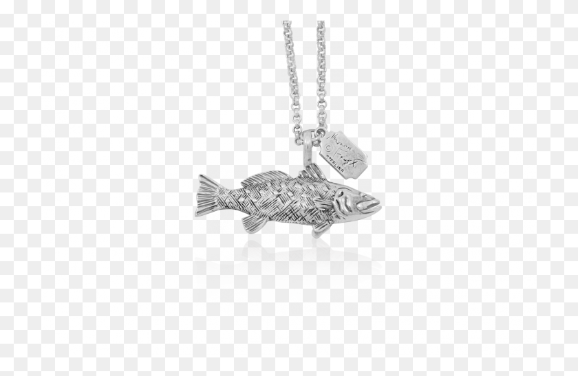 725x487 Speckled Trout Double Sided Pendant Locket, Necklace, Jewelry, Accessories Descargar Hd Png