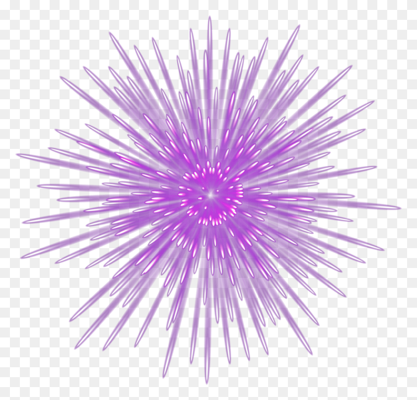 3937x3769 Spectacular Firework Purple Transparent Image Sea Urchin HD PNG Download