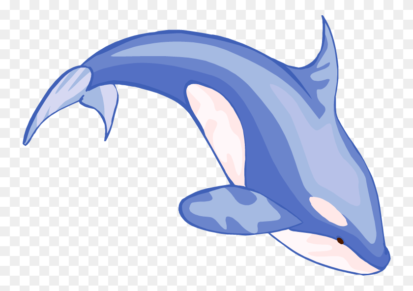 750x531 Png Кашалот, Дельфин, Млекопитающее, Морская Жизнь Png Скачать