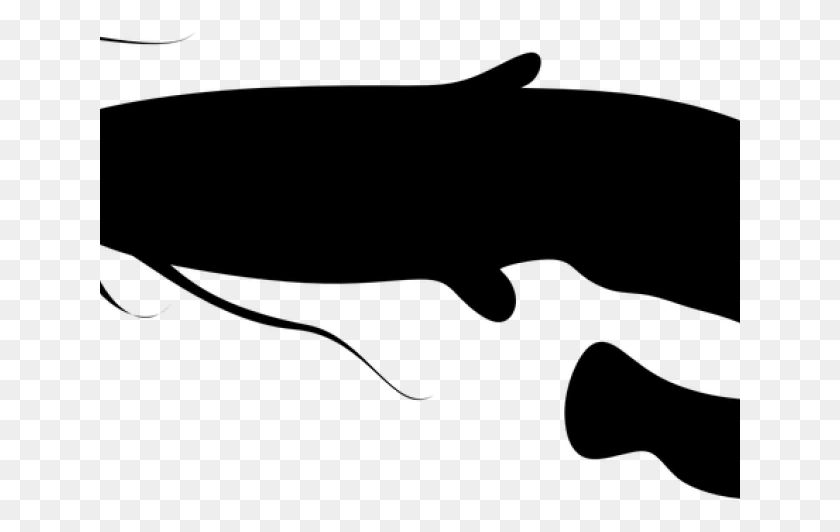 641x472 Sperm Whale Clipart Ikan Catfish, Gray, World Of Warcraft HD PNG Download