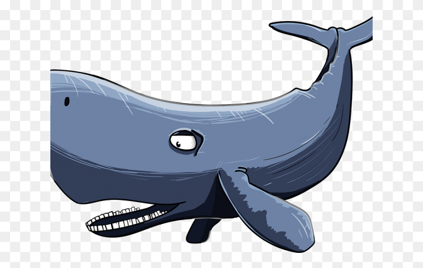 641x472 Sperm Whale Clipart Watercolor Cartoon Whale, Mammal, Sea Life, Animal HD PNG Download