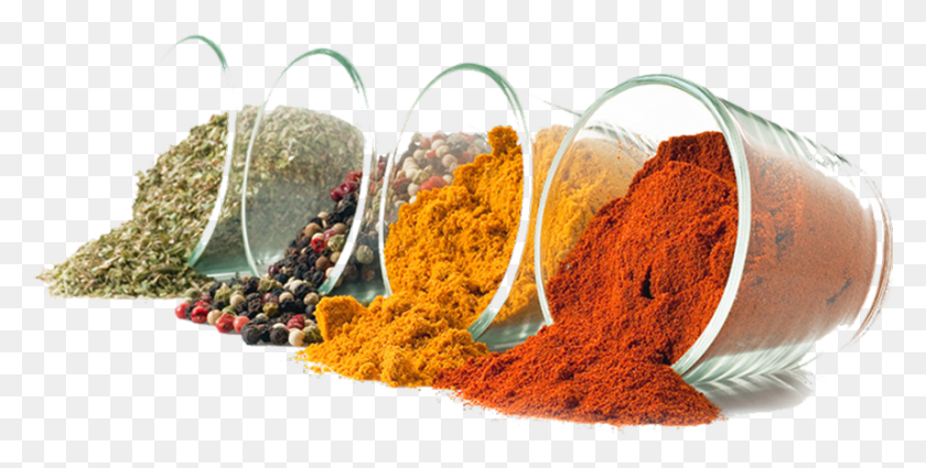 856x401 Spices And Herbs Transparent Masala Spices, Spice, Snake, Reptile HD PNG Download