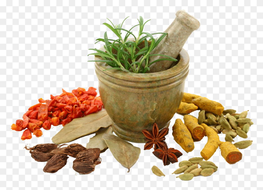 1478x1042 Spices Photo Ayurvedic Medicines, Plant, Food, Vegetable HD PNG Download