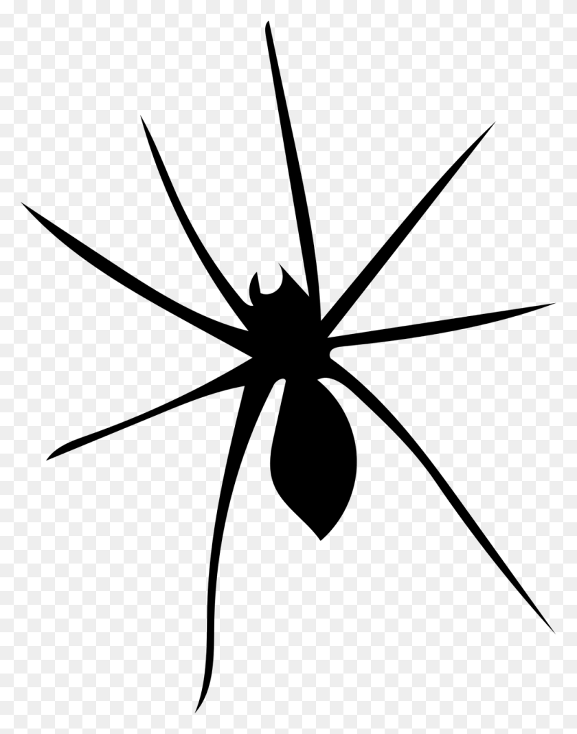 990x1280 Spider Arachnophobia Arachnid Widow Spider, Gray, World Of Warcraft HD PNG Download