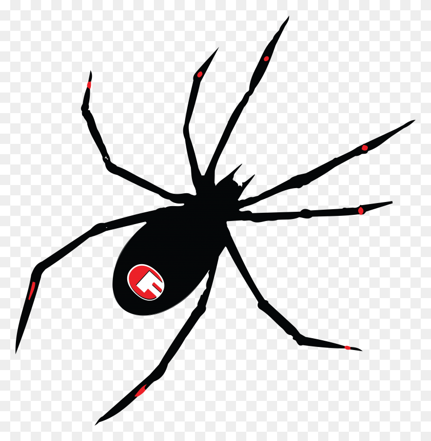 5184x5309 Spider Decal 02 Black Widow, Invertebrate, Animal, Insect HD PNG Download