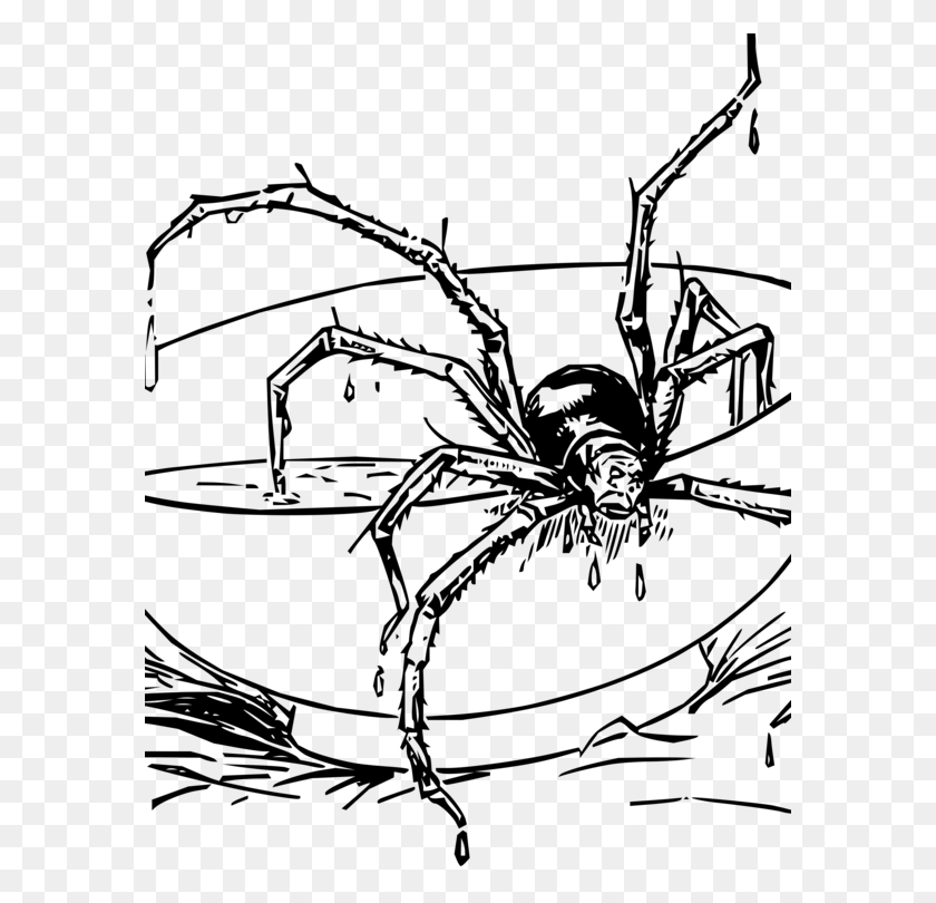 580x750 Человек-Паук Книжка-Раскраска Spider Web Itsy Bitsy Spider Spider Halloween Coloring Sheet, Серый, World Of Warcraft Hd Png Download
