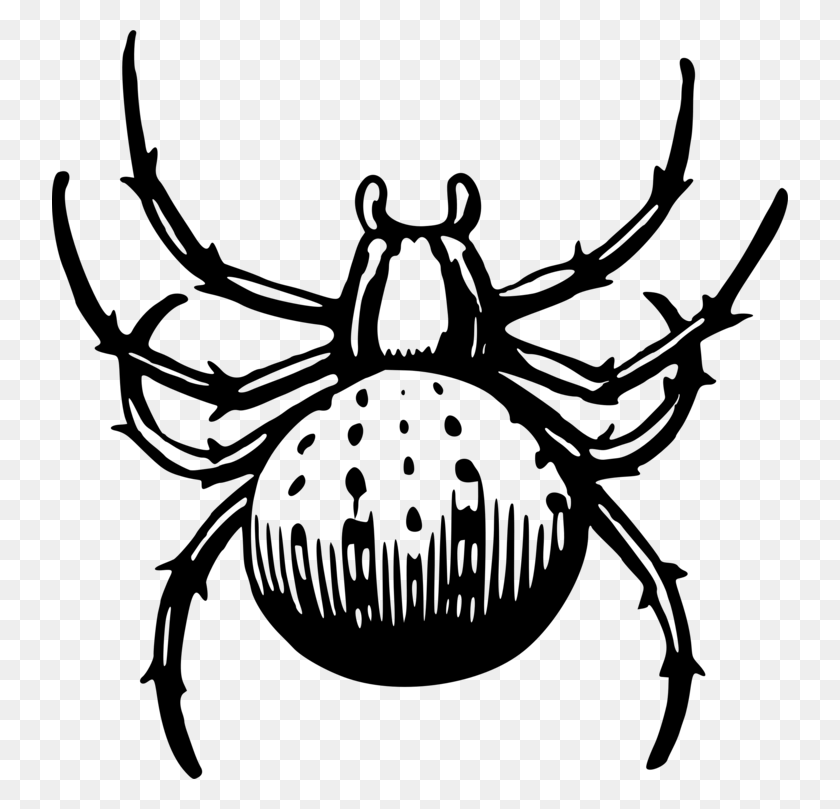 736x749 Spider Man Drawing Spider Web Cartoon, Gray, World Of Warcraft HD PNG Download