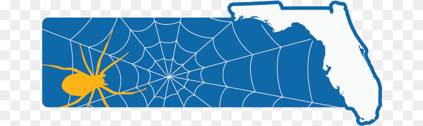 Spider Man May Be From Queens But Many Spiders Love Fl Plot, Spider Web, Animal, Invertebrate Clipart PNG