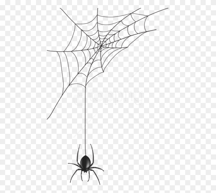477x690 Spider Man Web Transparent Spider Web Vector, Spider, Invertebrate, Animal HD PNG Download