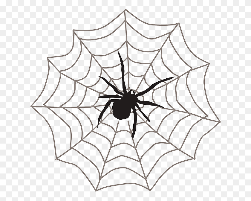 640x612 Spider On Web Clipart, Spider Web, Lamp HD PNG Download