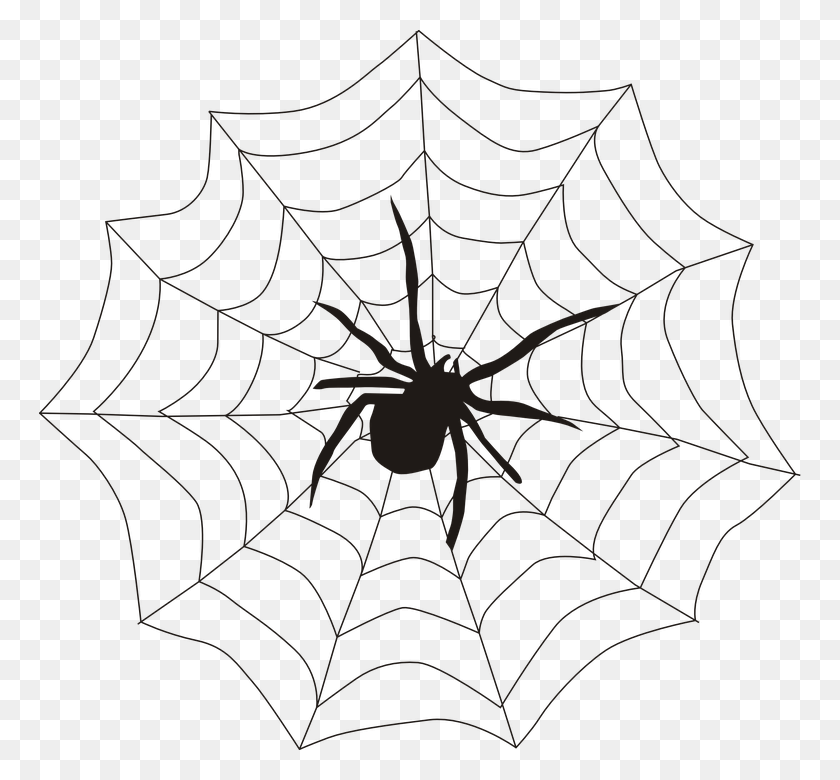 762x720 Spider Spider On A Web, Spider Web HD PNG Download