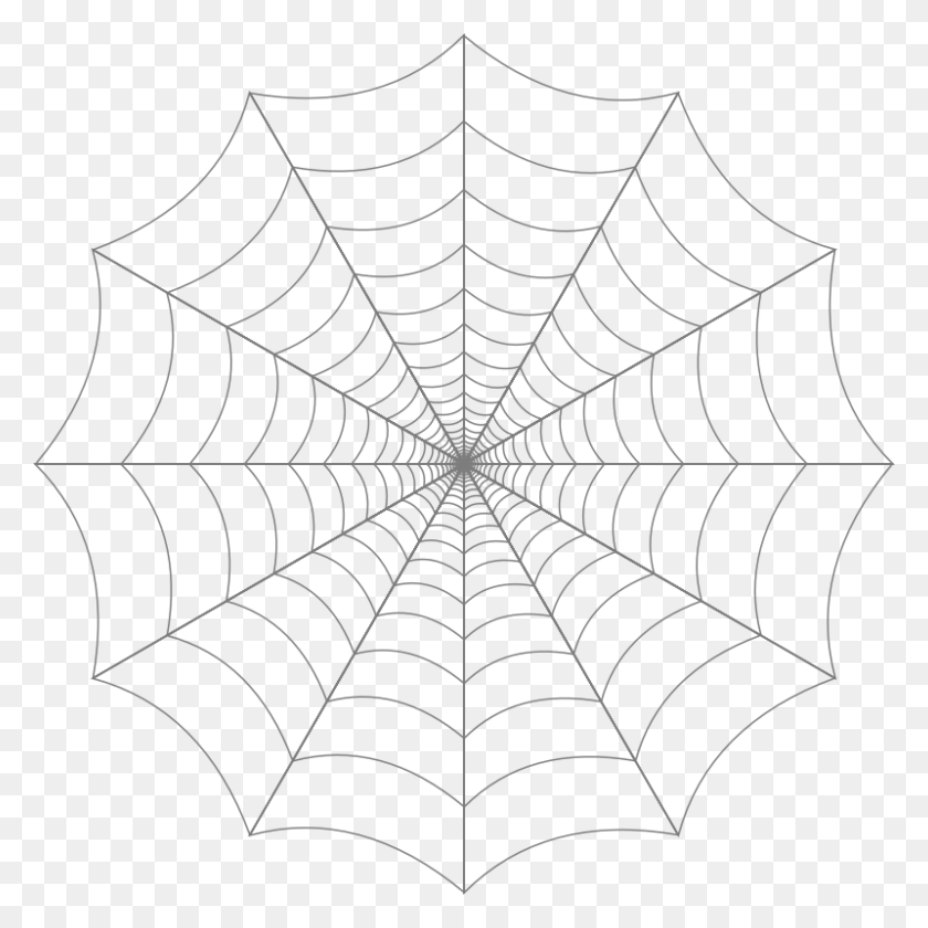800x800 Spider Web Clipart Spiderweb, Rug HD PNG Download
