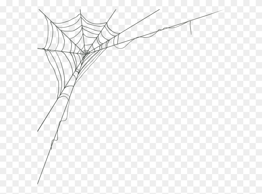 600x564 Spider Web Corner Clip Art Image Spider Web Corner HD PNG Download