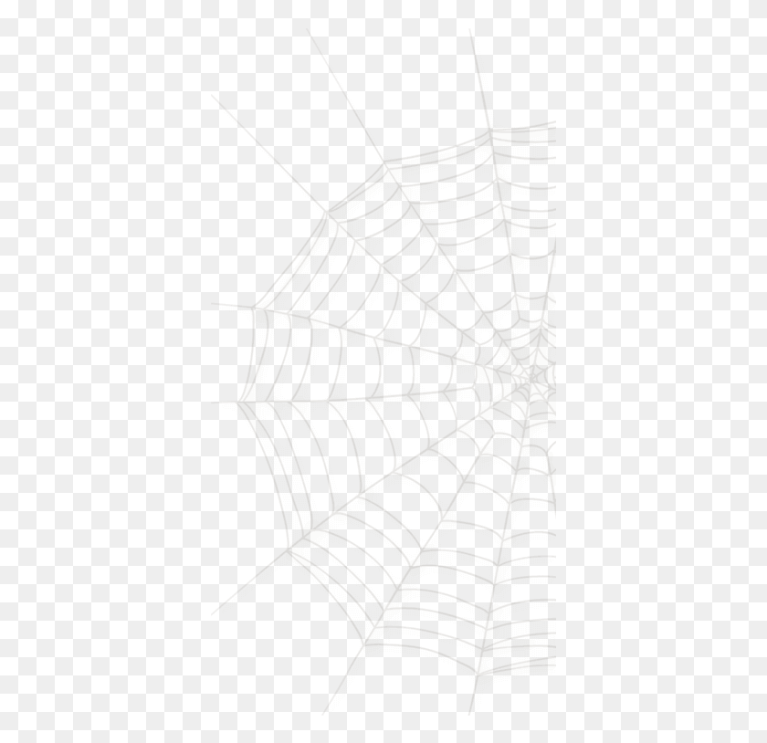 379x754 Spider Web Small Doubt The Beacon Street Collection, Snake, Reptile, Animal HD PNG Download