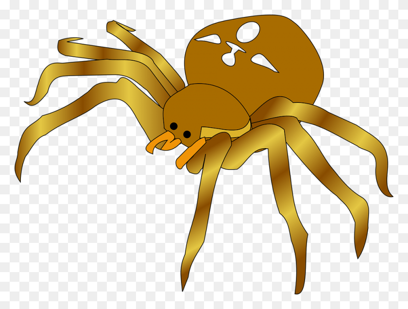 960x710 Spiders Web Clip Art Image Clip Art Of Spider, Invertebrate, Animal, Garden Spider HD PNG Download