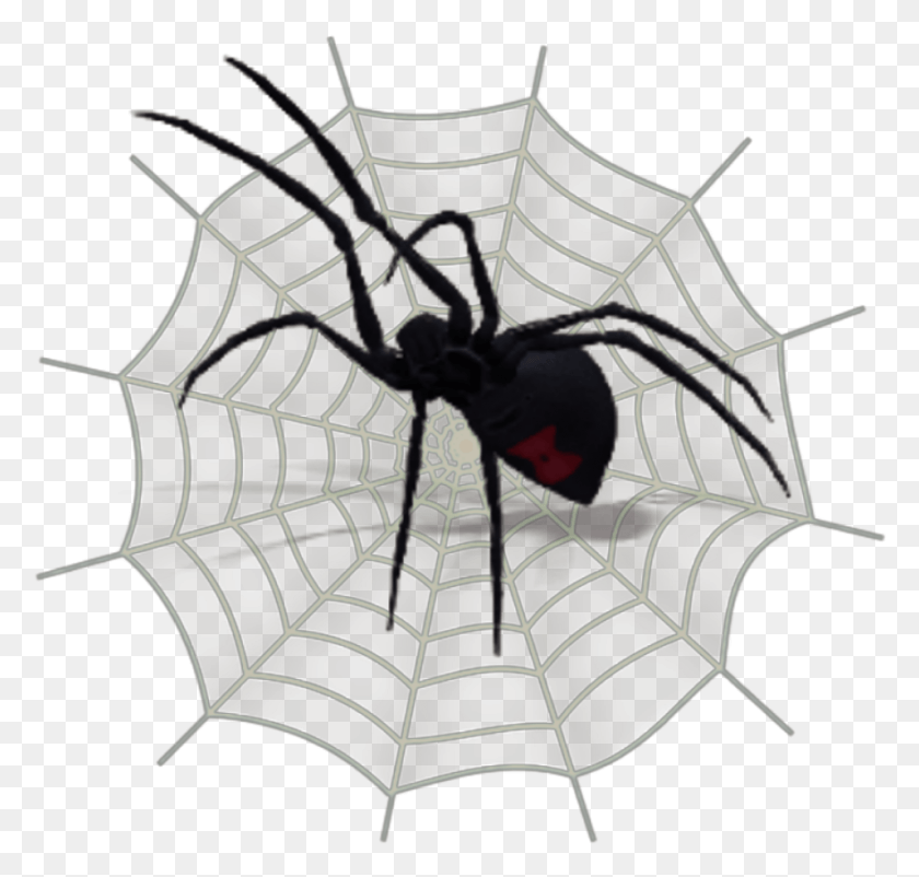 955x909 Spiderweb Spider Arachnid Blackwidow Black Widow, Spider Web, Invertebrate, Animal HD PNG Download