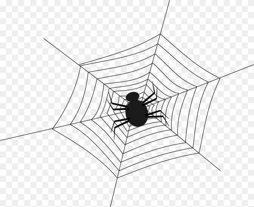 Spiderweb Spider In The Middle Of The Web, Spider Web, Person, Animal, Fish PNG