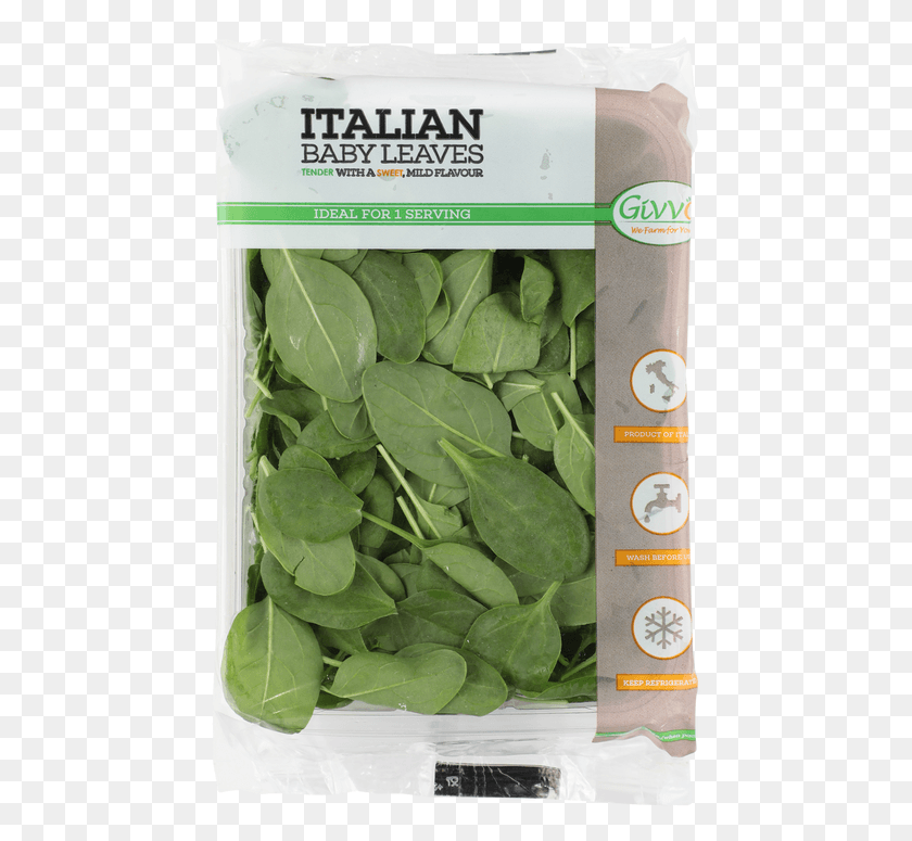456x715 Spinach, Plant, Vegetable, Food HD PNG Download
