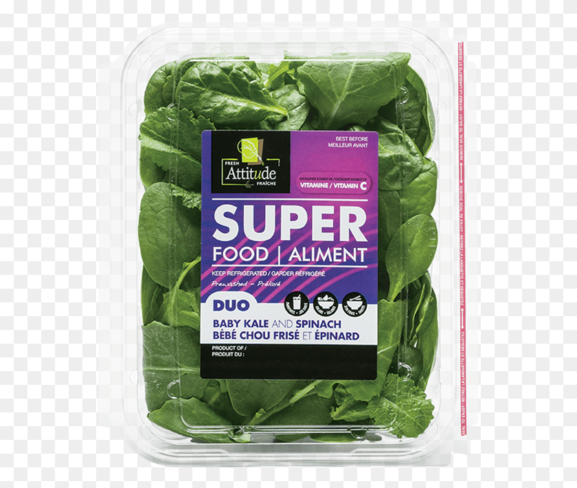 553x650 Spinach, Vegetable, Plant, Food HD PNG Download
