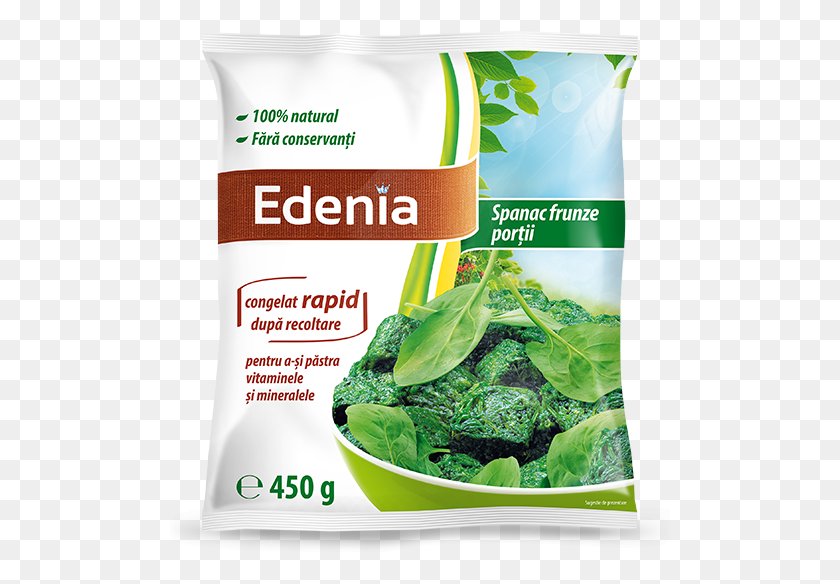 501x524 Hojas De Espinaca Edenia, Planta, Vegetal, Alimentos Hd Png
