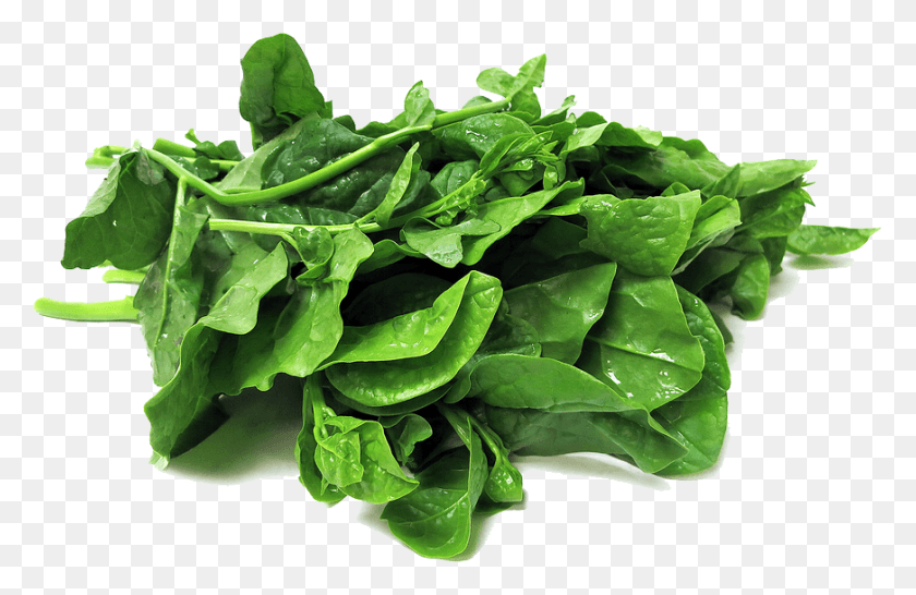 872x544 Spinach Transparent Spinach, Vegetable, Plant, Food HD PNG Download