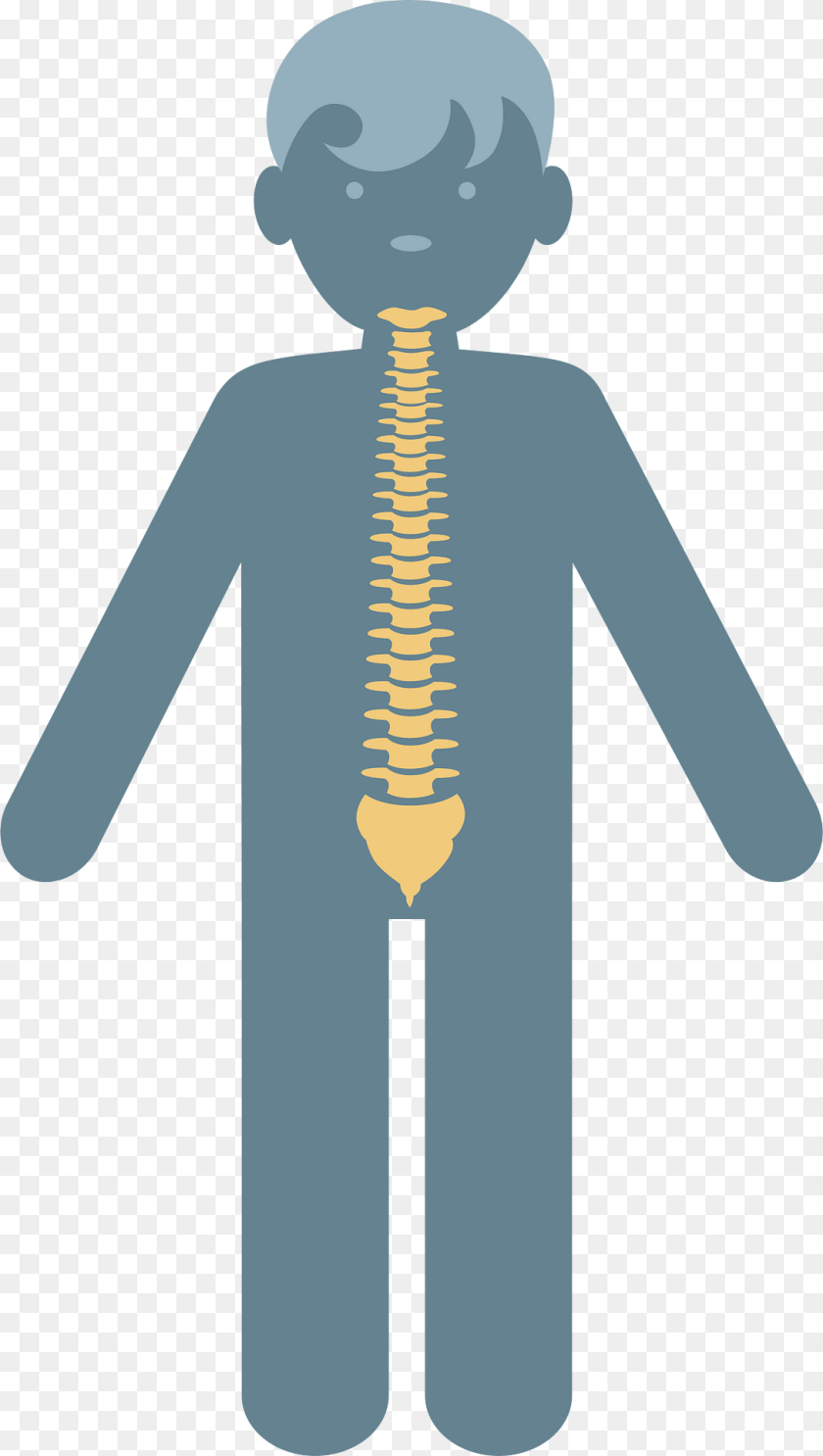 1085x1920 Spine Clipart, Person, Face, Head PNG