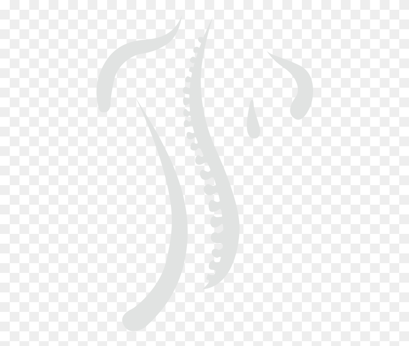 446x650 Spine Graphic Illustration, Seahorse, Mammal, Sea Life HD PNG Download