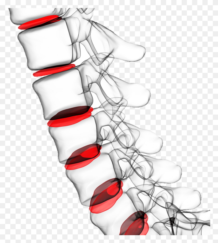 Spine Clipart.