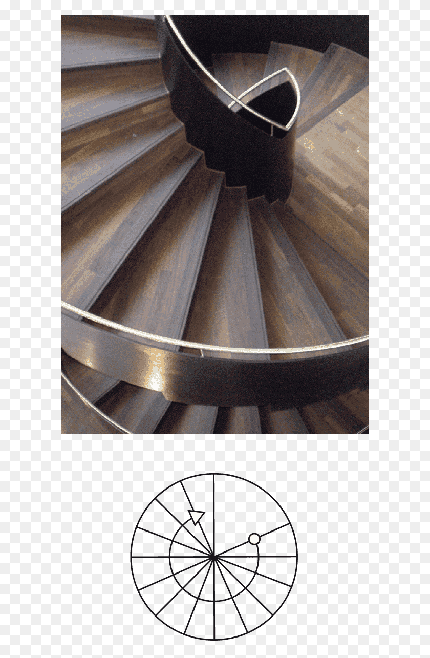 600x1225 Spiral Staircase Stairs, Handrail, Banister, Coil HD PNG Download