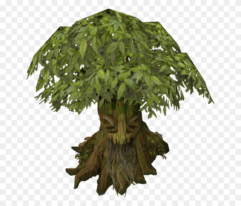 656x659 Дерево Духов Злое Растение Прозрачный, Лист, Хвойное Дерево, Растительность Hd Png Скачать