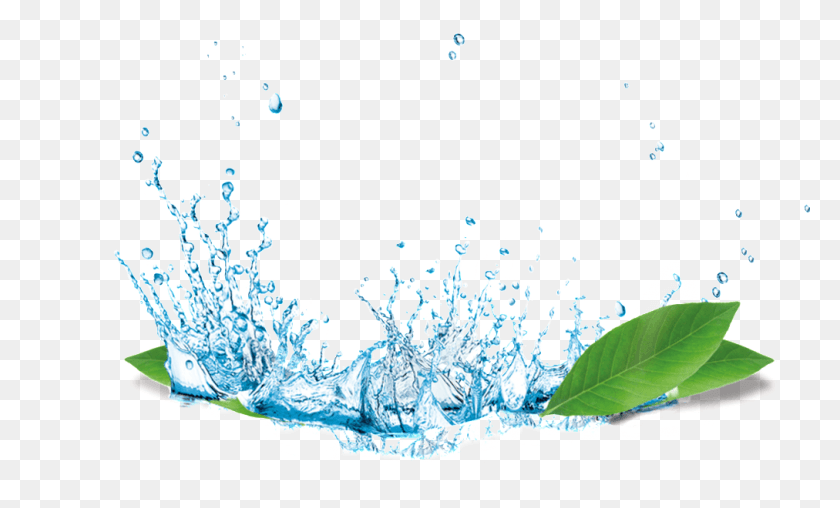 1012x582 Брызги Воды Цветок Прозрачный Материал Водонепроницаемый Чехол Для Бинго, На Открытом Воздухе, Природа, Лед Png Скачать