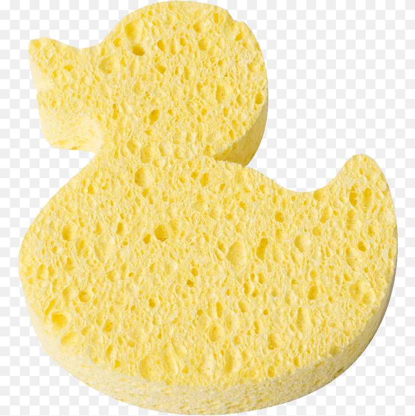 Sponge Bath Transparent PNG