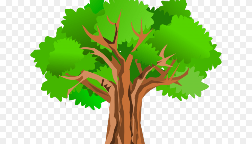 Spooky Forest, Plant, Tree, Tree Trunk, Green Transparent PNG