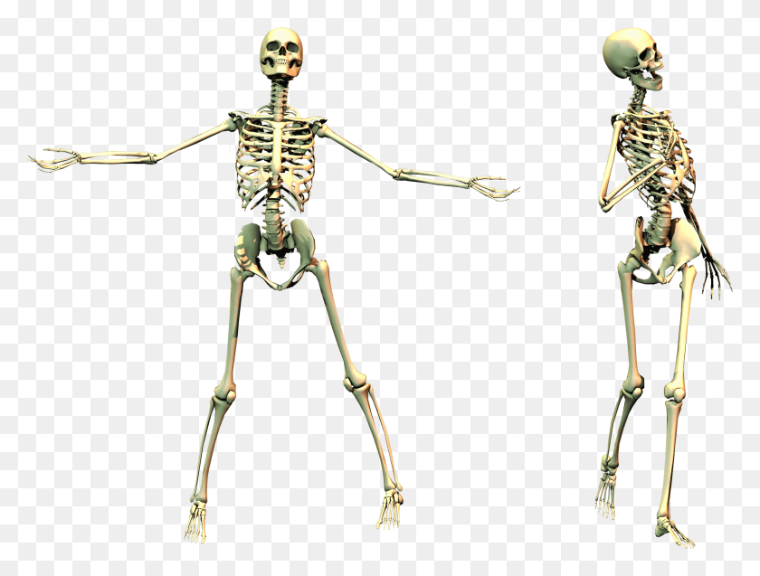 2562x1897 Spooky Skeleton 02 Stock Skeleton On Transparent Background, Bow, Person, Human HD PNG Download