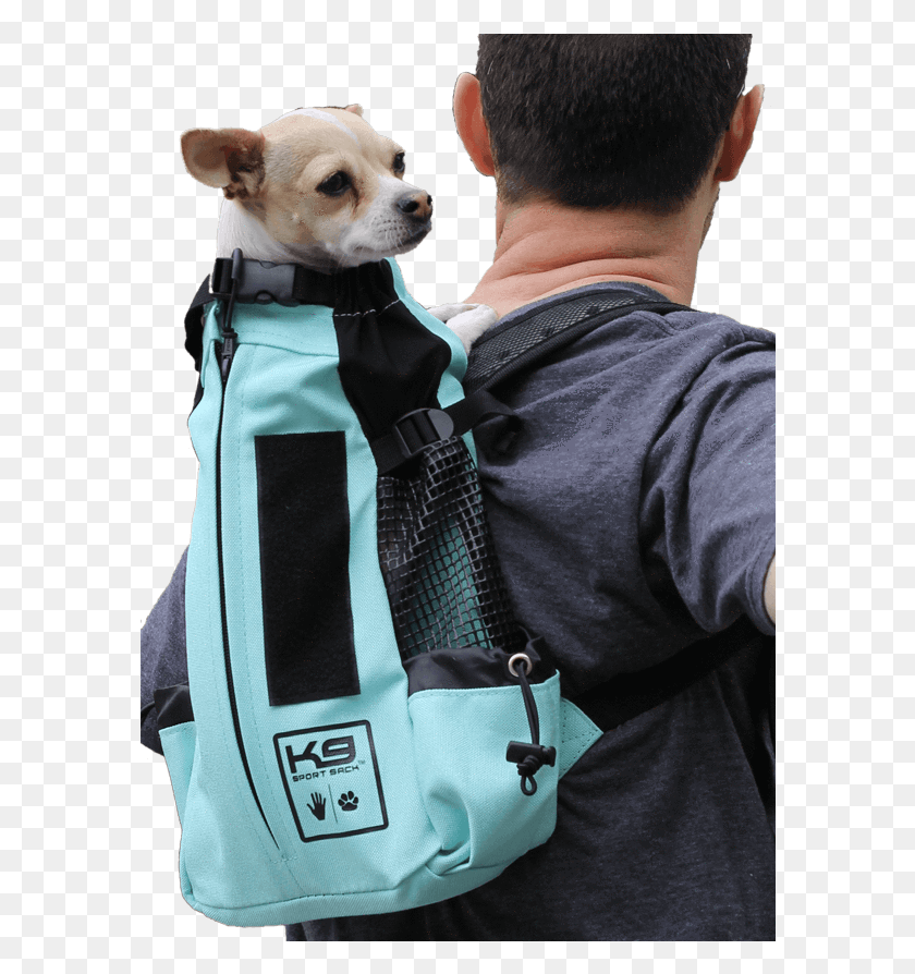 584x834 Sport Sack Air Companion Dog, Person, Human, Chihuahua HD PNG Download