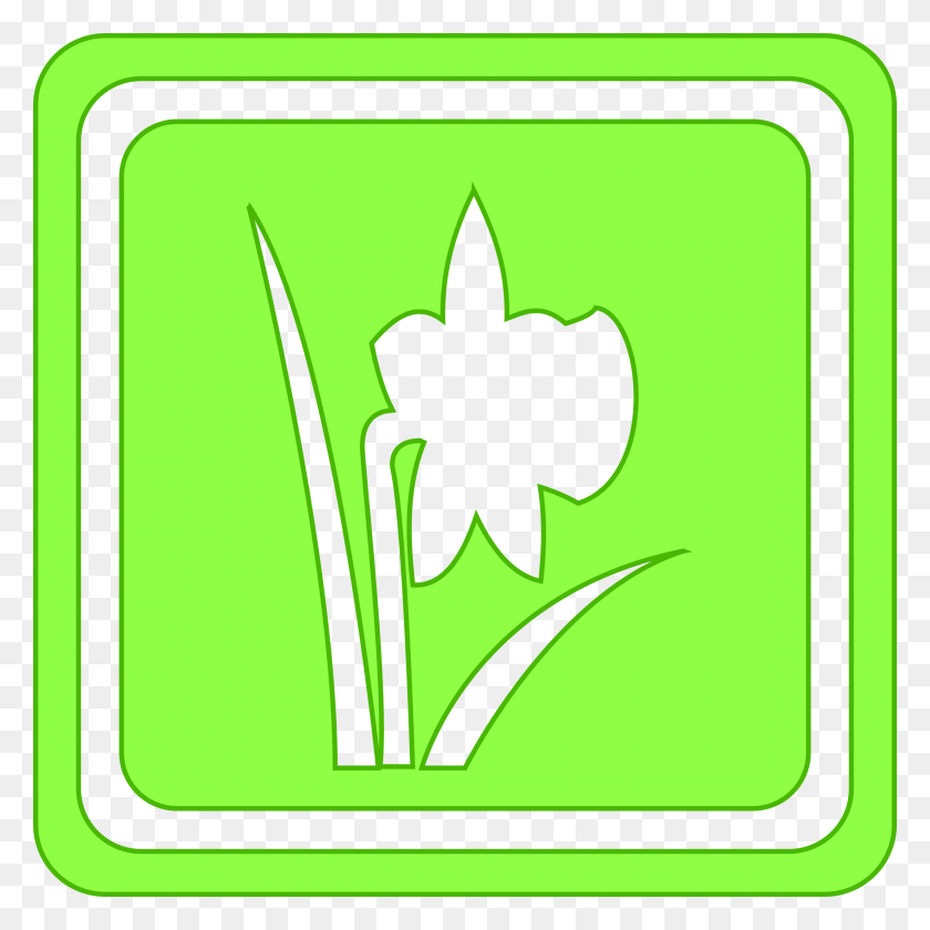 2400x2400 Spring, Green, Graphics HD PNG Download