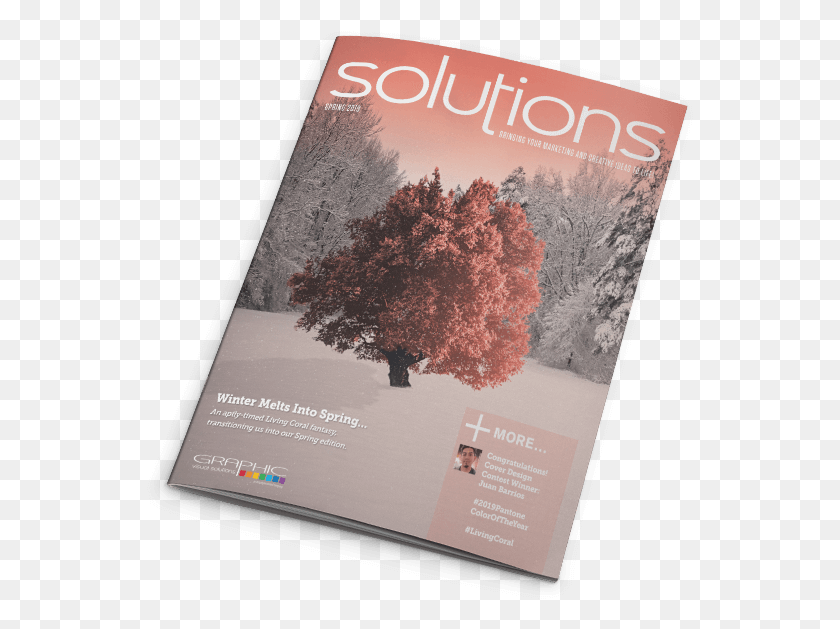 547x569 Spring 2019 Issue Flyer, Book, Advertisement, Poster HD PNG Download