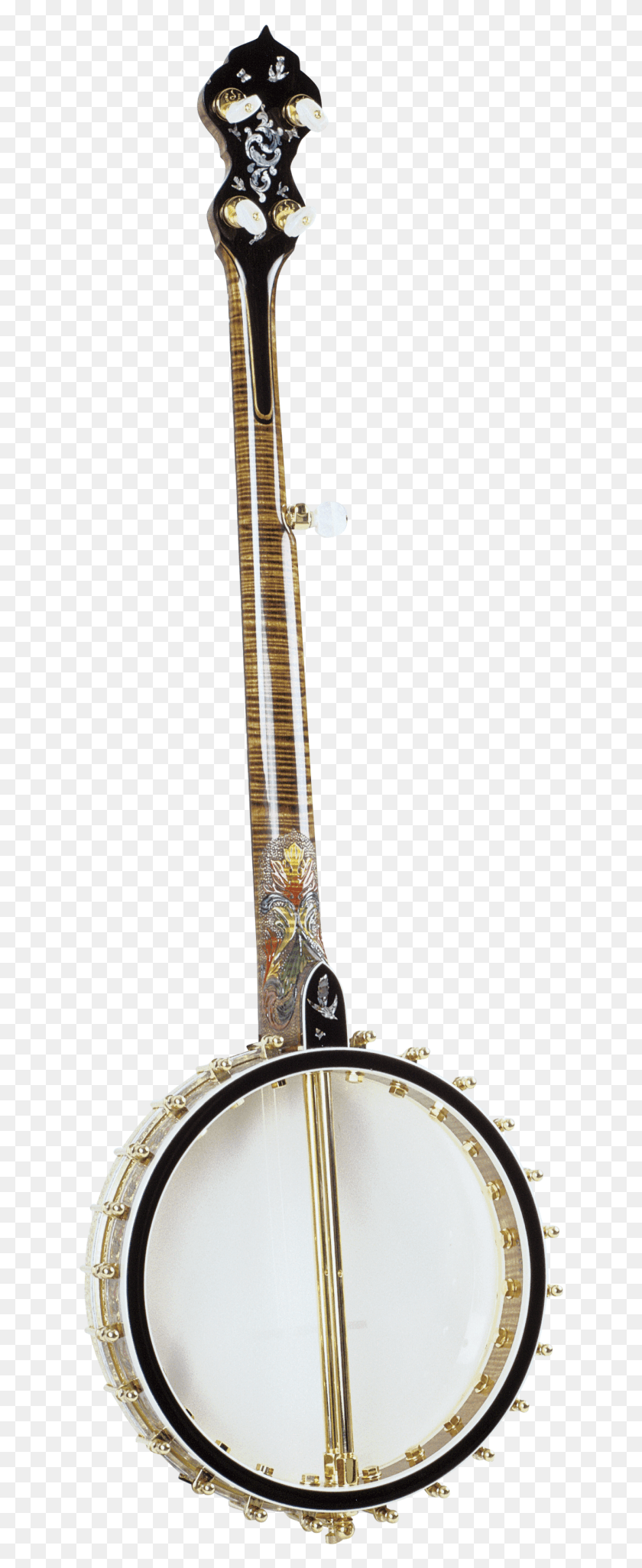 636x1992 Spring Back Metal, Leisure Activities, Musical Instrument, Lute HD PNG Download