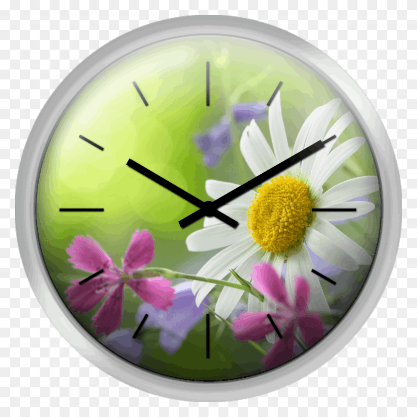 992x992 Spring Background Chrysanths, Clock, Analog Clock, Wall Clock HD PNG Download