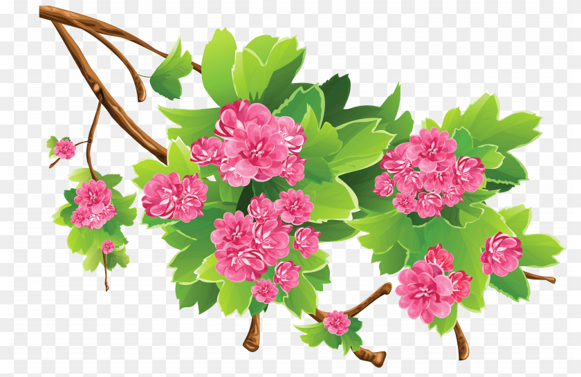 Spring Branch Transparent Clipart Picture, Flower, Geranium, Plant, Carnation PNG