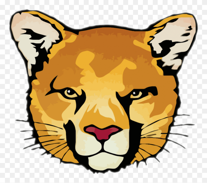 790x690 Спринг-Крик Начальная Школа Бенгальский Тигр, Дикая Природа, Животное, Млекопитающее Png Скачать