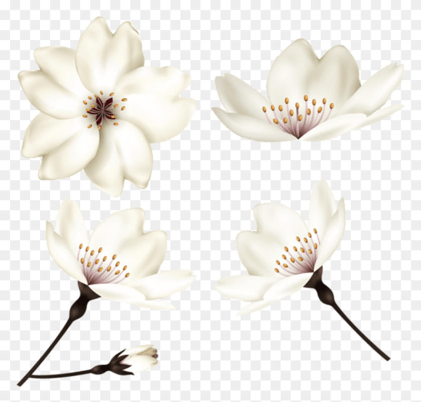 825x786 Spring Flowers Images Background Artificial Flower, Plant, Blossom, Anther HD PNG Download