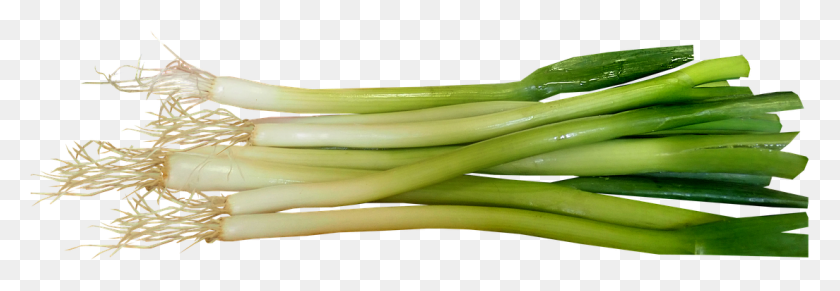 1104x328 Spring Onions Vegetable Salad Food Cooking Leek, Plant, Produce HD PNG Download